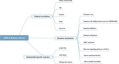 A Comprehensive Pan-Cancer Analysis of 33 Human Cancers Reveals the Immunotherapeutic Value of Aryl Hydrocarbon Receptor